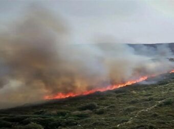 Μεγάλη φωτιά στην Σαλαμίνα – Επιχειρούν εναέρια μέσα