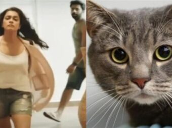 Άντρας Διώχνει την Κοπέλα του Επειδή Πέταξε έξω τη γάτα του: «Καλά έκανες φίλε, η γάτα ήταν πρώτη εκεί»
