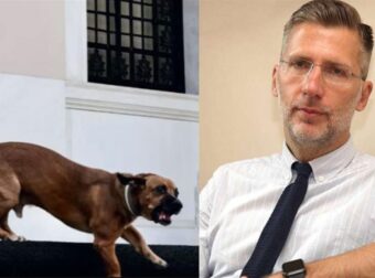 Δεν είναι πλάκα: Ο Πίνατ ο σκύλος του Μητσοτάκη δάγκωσε τον Σκέρτσο