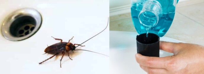 Θανατηφόρος συνδυασμός: Το υγρό που έχουμε όλοι στο μπάνιο και εξολοθρεύει τις κατσαρίδες για τα καλά