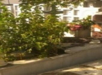 Αλίκη Βουγιουκλάκη: Θυμάστε τις παραμελημένες εικόνες από τον τάφο της; Δείτε πως τον έχουν περιποιηθεί πλέον! (photos)