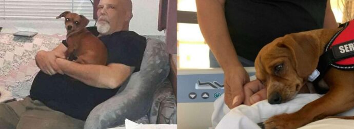 Αυτό το γλυκό μικρό σκυλί αρνείται να αφήσει τον κηδεμόνα του μόνο του στο τέλος της ζωής του στο νοσοκομείο