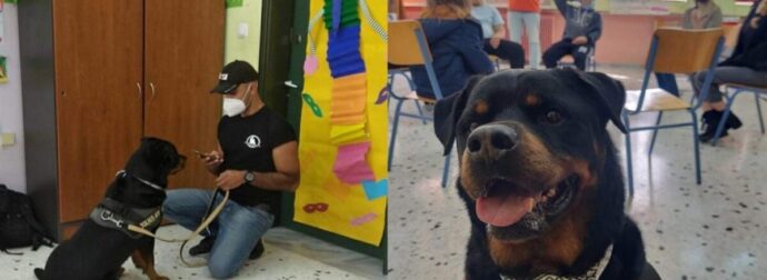 Ελλάδα: Γνωρίστε το υπέροχο Ροτβάιλερ, ένα σκύλο- θεραπείας, που κάνει παρέα και βοηθάει παιδιά με αυτισμό και νοητική στέρηση