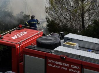 Φωτιά τώρα στην Εύβοια