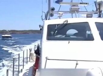 «Έχω 4 σπασμένα…» – Οι πρώτες δηλώσεις του τεχνικού που τραυματίστηκε στην σύγκρουση των ταχύπλοων στην Ανάβυσσο