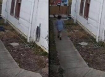 Αρνήθηκε να πληρώσει σε οίκο ανοχής και πήδηξε από το παράθυρο για να ξεφύγει