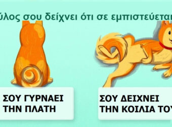 15+1 Χρήσιμες Συμβουλές που θα σας Βοηθήσουν να Καταλάβετε καλύτερα ΤΙ σκέφτεται ο Σκύλος σας!