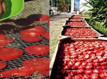 Σπιτική Συνταγή για να Φτιάξουμε Λιαστές Ντοματούλες μόνοι μας με 3 τρόπους!