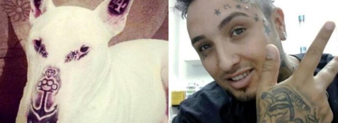 Απαράδεκτος Τύπος κάνει Τατουάζ στην Μύτη και τα Αυτιά του Σκύλου του και Τρώει άγριο Κράξιμο από ΟΛΟ το ίντερνετ!