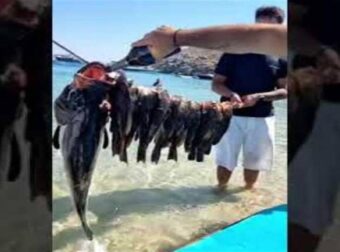 Μύκονος: Το κακόγουστο αστείο γνωστού επιχειρηματία – «Ποτίζει» με σαμπάνια τα ψάρια (Video)