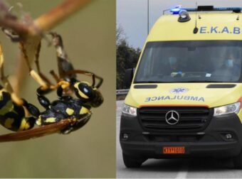 Δεν πέθανε από σφήκα: Μεγάλη ανατpοπή με τον θάνατο του 63χρονου που κατέρρευσε στο σπίτι του στην Πάτρα