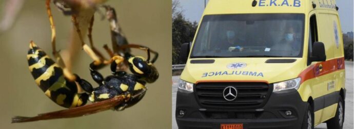 Δεν πέθανε από σφήκα: Μεγάλη ανατpοπή με τον θάνατο του 63χρονου που κατέρρευσε στο σπίτι του στην Πάτρα
