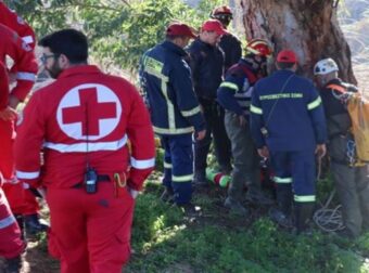 Θρίλερ στη Θεσπρωτία – Βγήκε να μαζέψει τσάι και εξαφανίστηκε