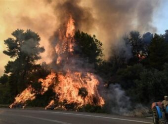 Αφέθηκε ελεύθερος ο κατηγορούμενος για τη φωτιά στην Καλλιθέα Πατρών