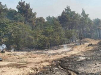 Τέλος στον εφιάλτη με την φωτιά στον Έβρο – Άρχισε να βρέχει