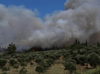 Φωτιά σε Σκαραμαγκά και Ωρωπό
