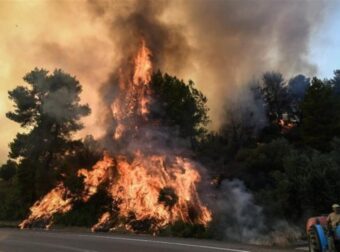 Ανεξέλεγκτη η μεγάλη πυρκαγιά στην Κρέστενα – Δίνεται μάχη για να μην καούν σπίτια
