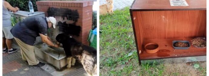 Θεσσαλονίκη: Ο Κ. Βασίλης Φτιάχνει Σπιτάκια Για Τα Αδέσποτα, Τα Οποία Πηγαίνει Και Ταΐζει Κάθε Μέρα