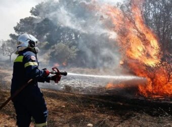 Φωτιά στη Θάσο – «Εγώ έβαλα τη φωτιά για να γελάω». Τι είπε ο δράστης του εμπρησμού