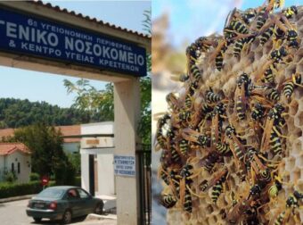 Τη βρήκαν με την αμμωνία στα χέρια: Τpαγικός θάνατος για γυναίκα στην Ηλεία – Δέχθηκε επίθεση από σφήκες