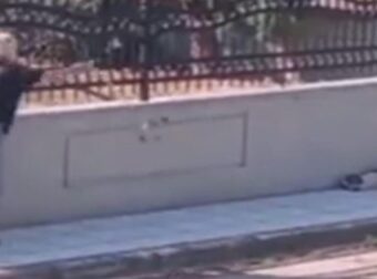 Θεσσαλονίκη: Στο δικαστήριο η 75χρονη που πέταξε το μπαστούνι της στο σκύλο που κοιμόταν