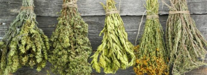 Ποια βότανα βοηθούν στο αδυνάτισμα. Τέλος η δίαιτα