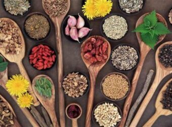 Ιατρική επανάσταση: Ποιο διάσημο βότανο εξοντώνει τον καρκίνο, γιατί μας το κρύβουν