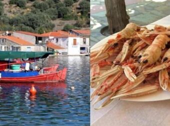 Ασφαλής «παράδεισος» χωρίς τουρίστες, που τρως ψαράκι, πίνεις και κοιμάσαι, με 15€ την ημέρα