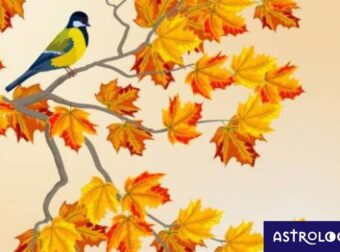 Κινέζικη αστρολογία: Προβλέψεις των ζωδίων από 27/08 έως 26/9