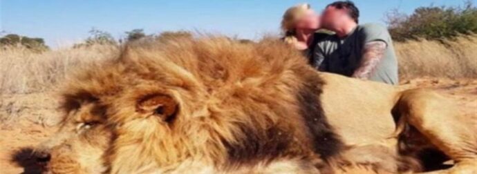 Αυτο το ζευγάρι φιλήθηκε μπροστά από το λιοντάρι! Όταν κοιτάξαμε καλύτερα πάθαμε σοκ!