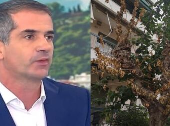 Μπακογιάννης: «Το πραγματικό πρόβλημα της Αθήνας είναι οι μουριές»