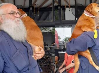 Λέσβος: Ιερέας κουβαλάει στα χέρια μια σκυλίτσα που έχει πρόβλημα με τη μέση της