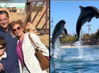 Σάλος με Άδωνι Γεωργιάδη στο Αττικό Πάρκο: Πώς διαφήμισε το παράνομο σόου με δελφίνια. Τι απάντησε [φωτο]
