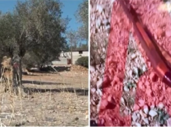 Σοκ στη Μάνδρα: 14χρονος σκότωσε τον 17χρονο αδερφό του. Ομολογία, πώς εμπλέκεται ο πατέρας