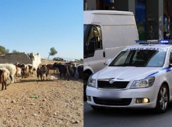 Νεκρός 17χρονος – τελευταία εξέλιξη: Δολοφόνος ο 14χρονος αδερφός του, το στοιχείο κλειδί που τον πρόδωσε