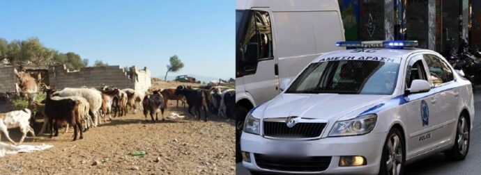 Νεκρός 17χρονος – τελευταία εξέλιξη: Δολοφόνος ο 14χρονος αδερφός του, το στοιχείο κλειδί που τον πρόδωσε