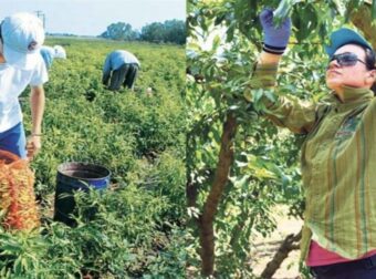 Οι Αλβανοί φεύγουν, οι ντόπιοι έρχονται: Πρώτη φορά νέοι Έλληνες στα χωράφια για δουλειά, μετά από 30 χρόνια