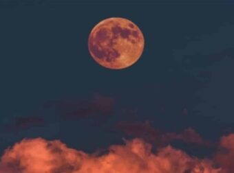 “Νέα Σελήνη στον Υδροχόο” – H MagicF’Ariel προειδοποιεί Ταύρους, Λέοντες και ακόμη 2 ζώδια