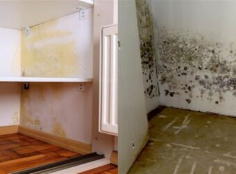 Υγρασία στην ντουλάπα: Το κόλπο με το ξύδι και 5 βασικά βήματα για να αποτρέψετε την εξάπλωση της μούχλας