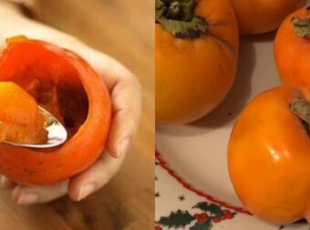 Λωτός: Η «τροφή των Θεών», οι ευεργετικές ιδιότητες και ο κρυφός κίνδυνος