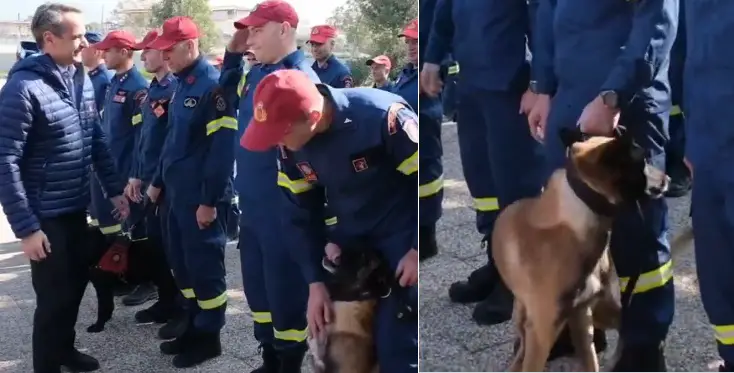 Ήρωας σκύλος της ΕΜΑΚ τρομοκρατήθηκε μόλις τον πλησίασε ο Μητσοτάκης (video)