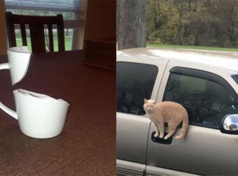 25 φωτογραφίες που αψηφούν την βαρύτητα και θα σας κάνουν να κοιτάξετε δυο φορές