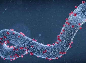 «Επικίνδυνος και θανατηφόρος»: Αυτός είναι ο νέος ιός που εμφανίστηκε και τρομάζει τους επιστήμονες