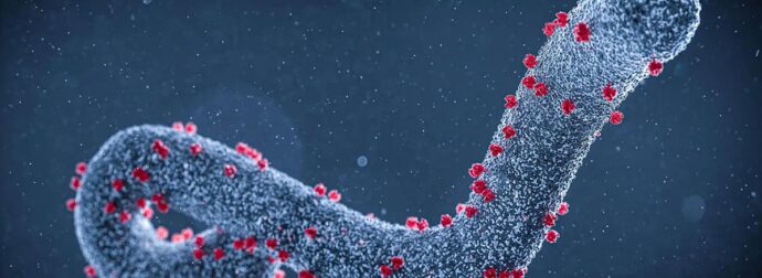 «Επικίνδυνος και θανατηφόρος»: Αυτός είναι ο νέος ιός που εμφανίστηκε και τρομάζει τους επιστήμονες