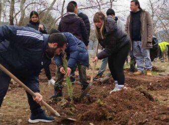 Τραγωδία στα Τέμπη: Φοιτητές φύτεψαν 57 κυπαρίσσια στην μνήμη των θυμάτων