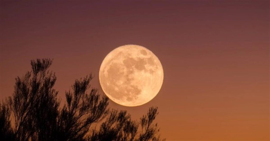 Magic Fariel: «Η εβδομάδα ξεκινάει με τη Νέα Σελήνη στον Σκορπιό…» – Τα 4 ζώδια που επηρεάζονται