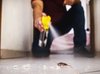 54χρονος ανατίναξε το σπίτι του προσπαθώντας να σκοτώσει μια κατσαρίδα
